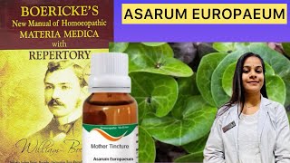 ASARUM EUROPAEUM homeopathic mother tincture in Hindi [upl. by Ilime]