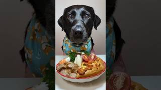 Breakfast Time 🥖🍪🍗🥦🦐🥖  Healthy food shorts youtubeshorts shortsfeed viralshorts dog food 😯 [upl. by Neehsar]