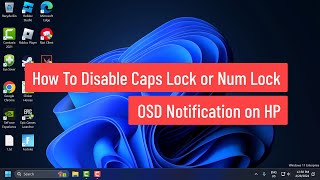 How To Disable Caps Lock or Num Lock OSD Notification on HP PC [upl. by Damita671]