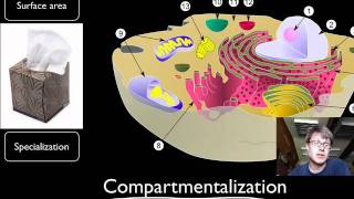 Compartmentalization [upl. by Billie]