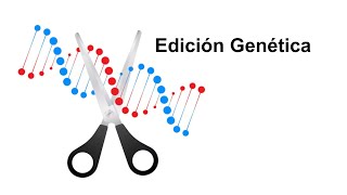 EDICION GENETICA [upl. by Eilujna]