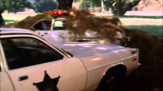 The Dukes Of Hazzard  S02E02 Scene 3 [upl. by Steinberg]