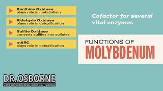 Discover How Molybdenum Affects Your Bodys Metabolism [upl. by Dranyl]