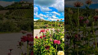 Montiano “terrazzo della Maremma” [upl. by Murray]