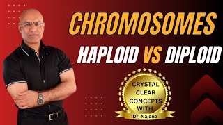 Basics of Chromatids  Haploid vs Diploid Chromosomes🦠 [upl. by Xena]