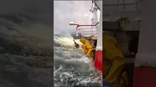 62 metres wave 😳 oceanwaves shorts short trending viral shortvideo [upl. by Isbella]