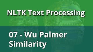 NLTK Text Processing 07  Wu Palmer Similarity [upl. by Gnagflow712]