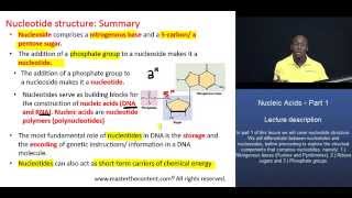 MCAT® Nucleic Acids Part 1 – Summary of Nucleotide structure [upl. by Devinna]