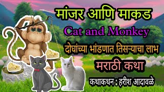 मांजर आणि माकड  मराठी कथा manjar ani makad  marathi story  bodh katha  बोध कथा [upl. by Renick]