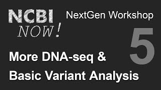 NCBI NOW Lecture 5 More DNAseq and Basic Variant Analysis [upl. by Pinkerton]