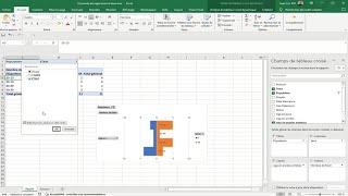 Deux manières de filtrer un tableau croisé dynamique et dactualiser le graphique associé excel [upl. by Hniht]