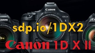 Canon 1DX Mark II Preview vs D5 5DSR [upl. by Ahsinnor52]