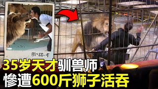 35岁天才驯兽师，惨遭600斤狮子“活吞”游客被血腥画面吓尿，尖叫声充满整个场馆動物 腦洞大開 世界之最 top 动物 災難 出類拔萃 灾难 老虎 [upl. by Daloris]