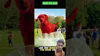 THE GIANT RED DOG SAVED MEN LIFE 😲❤️‍🩹shorts ytshorts animals dog [upl. by Ranip178]