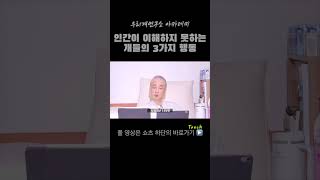 인간들이 이해 못하는 개들의 3가지 행동 강아지쇼츠 강아지행동 강아지짖음 강아지목욕 강아지로션 [upl. by Ocinom]