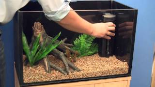 Setting up a Goldfish Aquarium [upl. by Norvan]