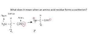 Biological Chemistry What is a zwitterion [upl. by Sanchez]