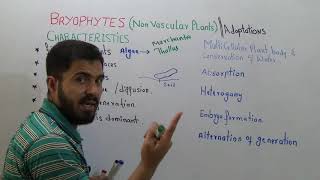 Bryophytes Characteristics and adaptations Alternation Of Generation Lecture 2 in Urdu Hindi [upl. by Wolfort103]