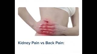 Kidney pain vs Low back pain [upl. by Hooker]