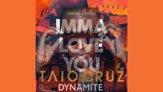 Taio Cruz  Dynamite vs Tungevaag amp Steerner  Imma love you Jablonskimusic mashupplayed by Alan [upl. by Ecneralc]