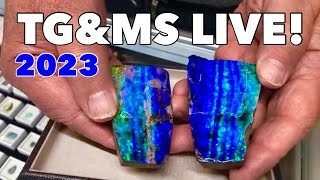 LIVE Tucson Gem amp Mineral Show 2023 Main Event [upl. by Innavoig]