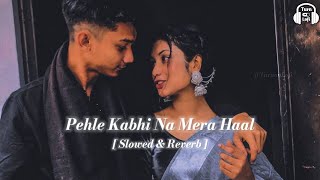 Pehle kabhi na mera haal  Slowed amp Reverb  Udit narayan  bollywood hindi songs LoFi [upl. by Hortense]