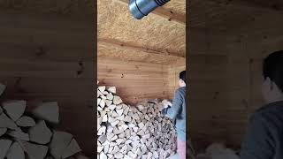 Burning woods ready for cold weather youtubeshorts woodworking [upl. by Isa213]