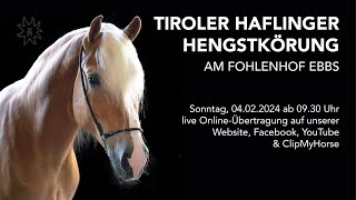 Tiroler Haflinger Hengstkörung Gesamt  04022024  Fohlenhof Ebbs [upl. by Scevo]