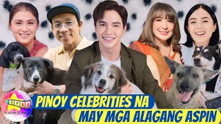 Pinoy Celebrities na may mga Alagang Aspin [upl. by Lathrop309]