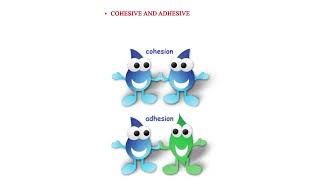 Types of forces Cohesive and adhesive forces [upl. by Anippesuig991]