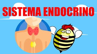 🟥SISTEMA ENDOCRINO 💚EXPLICADO FÁCIL🧠GLÁNDULAS Y HORMONAS🟥 [upl. by Gherardo90]