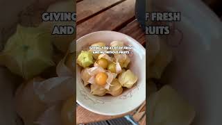 Grow this delicious fruit Physalis [upl. by Ocinemod]