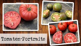 Tomatenportrait der Sorten Rosa Marmande und Cassio [upl. by Raynah914]