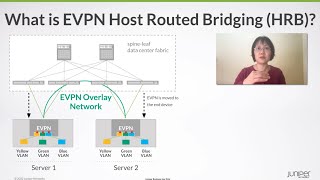 Data Center QoD What is EVPN Host Routed Bridging [upl. by Animas978]