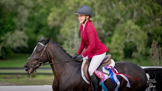 American Eventing Championships  Novice Show Jumping  Madison Ritsch amp Taylamor Penelope [upl. by Sera]