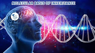 NEET Biology 2025 quotMOLECULAR BASIS OF INHERITANCEquot Pictographs Based Question [upl. by Aleac]