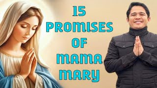 Ibinahagi ni Fr Darwin Gitgano ang 15 PROMISES OF MAMA MARY [upl. by Hettie106]