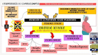 Fisiopatología de la Preeclampsia actualizado [upl. by Neelyhtak]