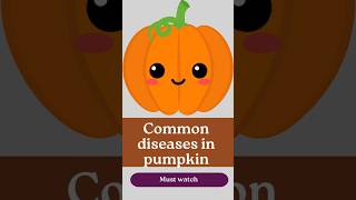 Common diseases in pumpkin cultivation [upl. by Zoellick]