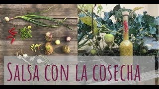 🌶🍈cómo COSECHAR y PREPARAR una salsa PICANTE con INGREDIENTES del HUERTO URBANO🍈🌶  México [upl. by Ancier739]