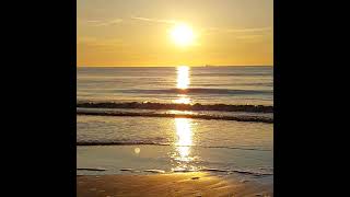 ostend beach 2552024 oostende strand [upl. by Annaillil]