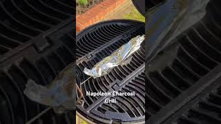 Oiled Napoleon Cast Iron Grill napoleon grill bbq oil [upl. by Bull90]