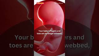 Pregnancy Week 10 Changes You MUST Know pregnancy pregnant pregnancyweek10 pregnancysymptoms [upl. by Hux]