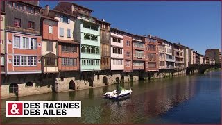 Castres  son histoire se lit dans ses façades [upl. by Drofub]