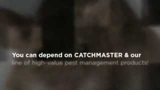 CatchMaster  How To Catch A Mouse [upl. by Cirone]