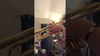 Star Spangled Banner On Trumpet 🎺 [upl. by Diley994]