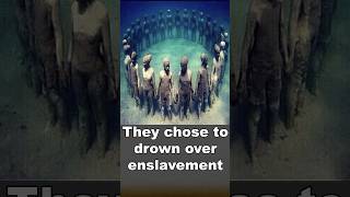 African captives chose to drown to escape slavery shorts facts history [upl. by Odlavu]