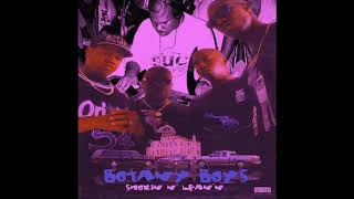 DJ Screw  Botany Boys  Smokin N Leann full EP [upl. by Gnoh]