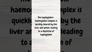 Haptoglobin in haemolysis  MRCP revision  shorts anaemia redbloodcells haemoglobin [upl. by Newra]