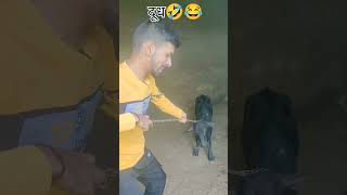 Paado😂🤣 jokes funny short shorts reels viralvideo tranding shortfeed monotize [upl. by Czarra577]